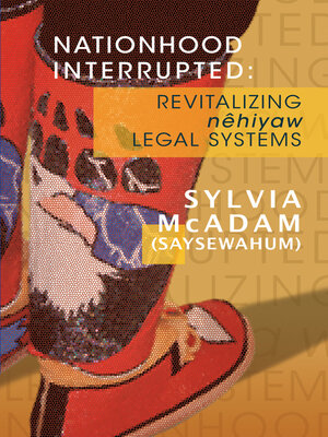 Nationhood Interrupted - ebook